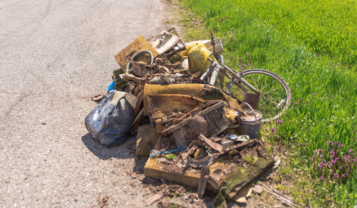 14. fotografia fotogalérie 