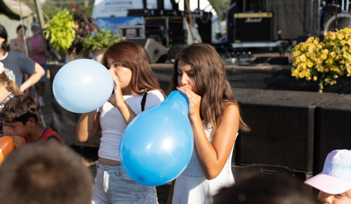 12. fotografia fotogalérie 