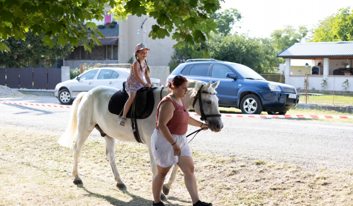 24. fotografia fotogalérie 