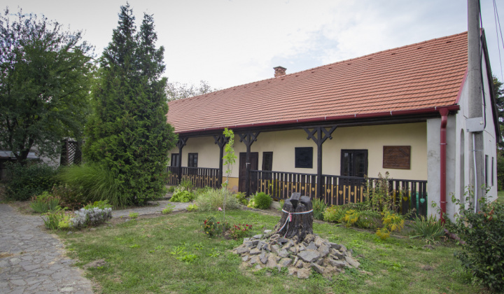 5. fotografia fotogalérie 