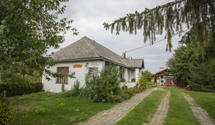 11. fotografia fotogalérie 