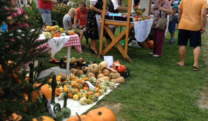 21. fotografia fotogalérie 