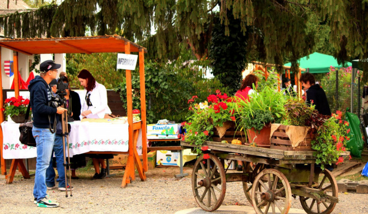 24. fotografia fotogalérie 