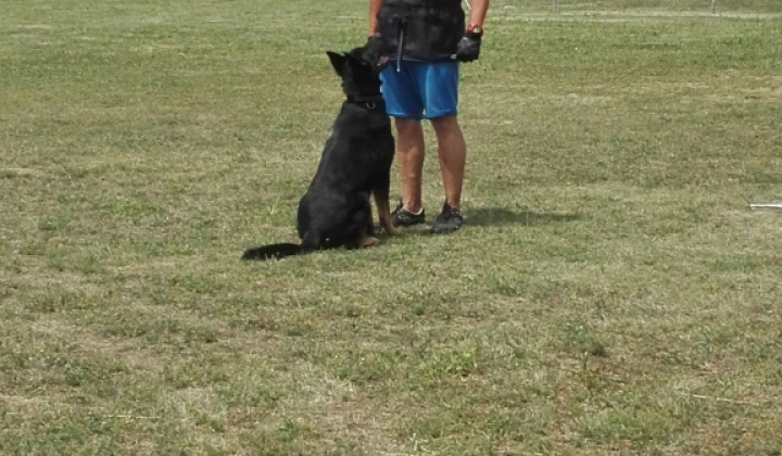 24. fotografia fotogalérie Gyereknap 2018