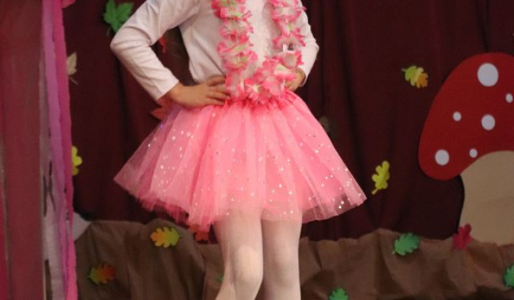 8. fotografia fotogalérie Deň starších 2018