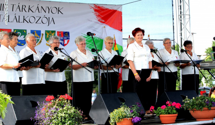 18. fotografia fotogalérie  2019