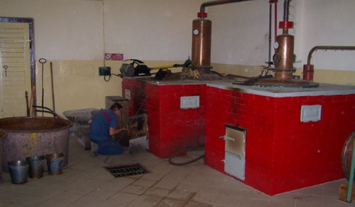 6. fotografia fotogalérie 