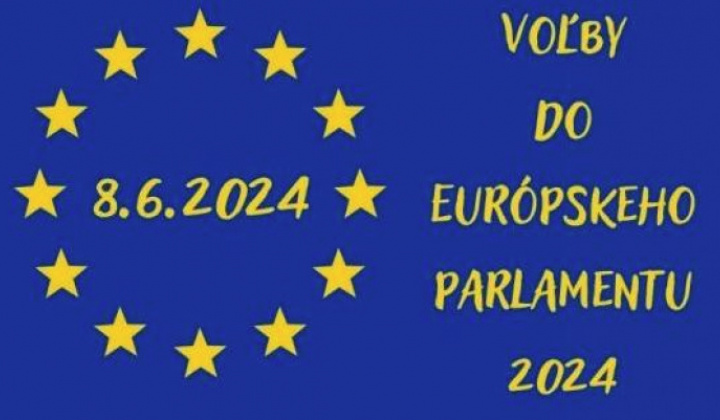 Fotka - Voľby do Európskeho parlamentu