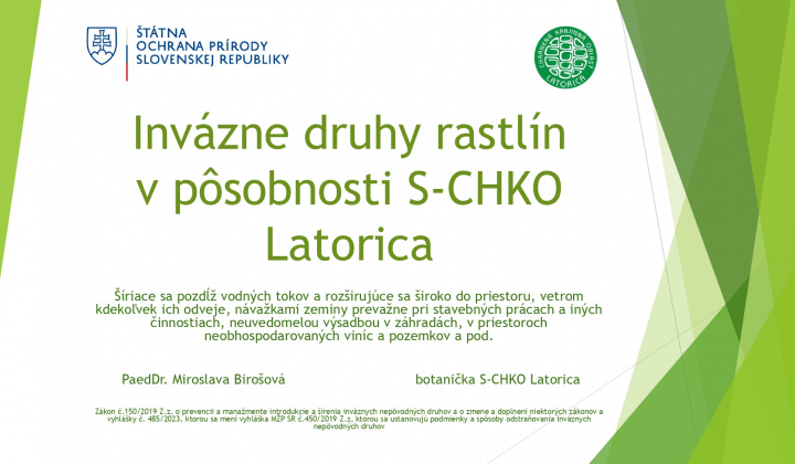 Fotka - Odstraňovanie inváznych druhov rastlín a drevín